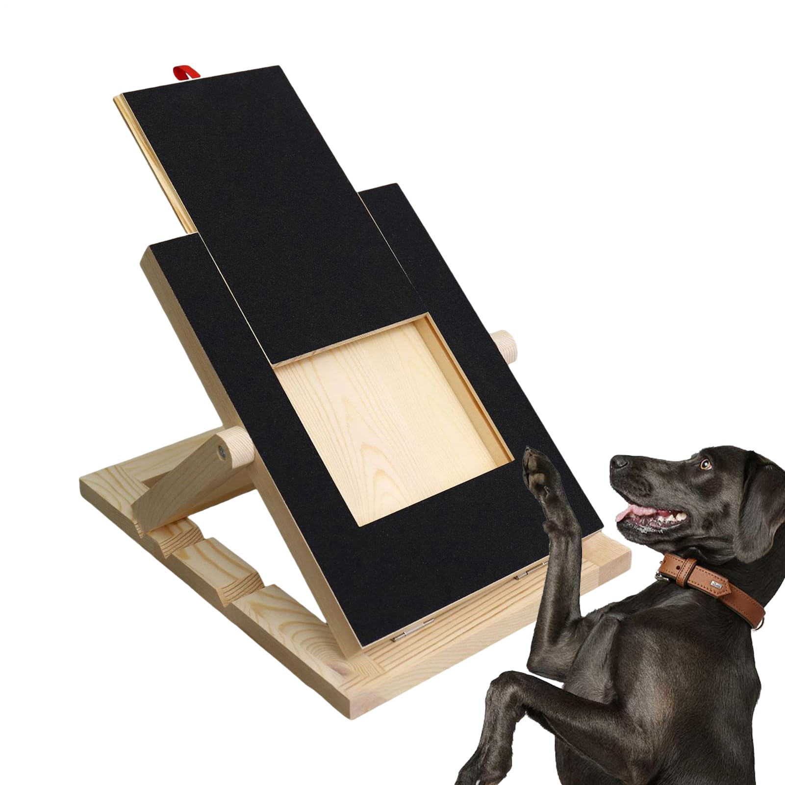 Planche à limer les ongles pour chiens, à gratter pour ongles