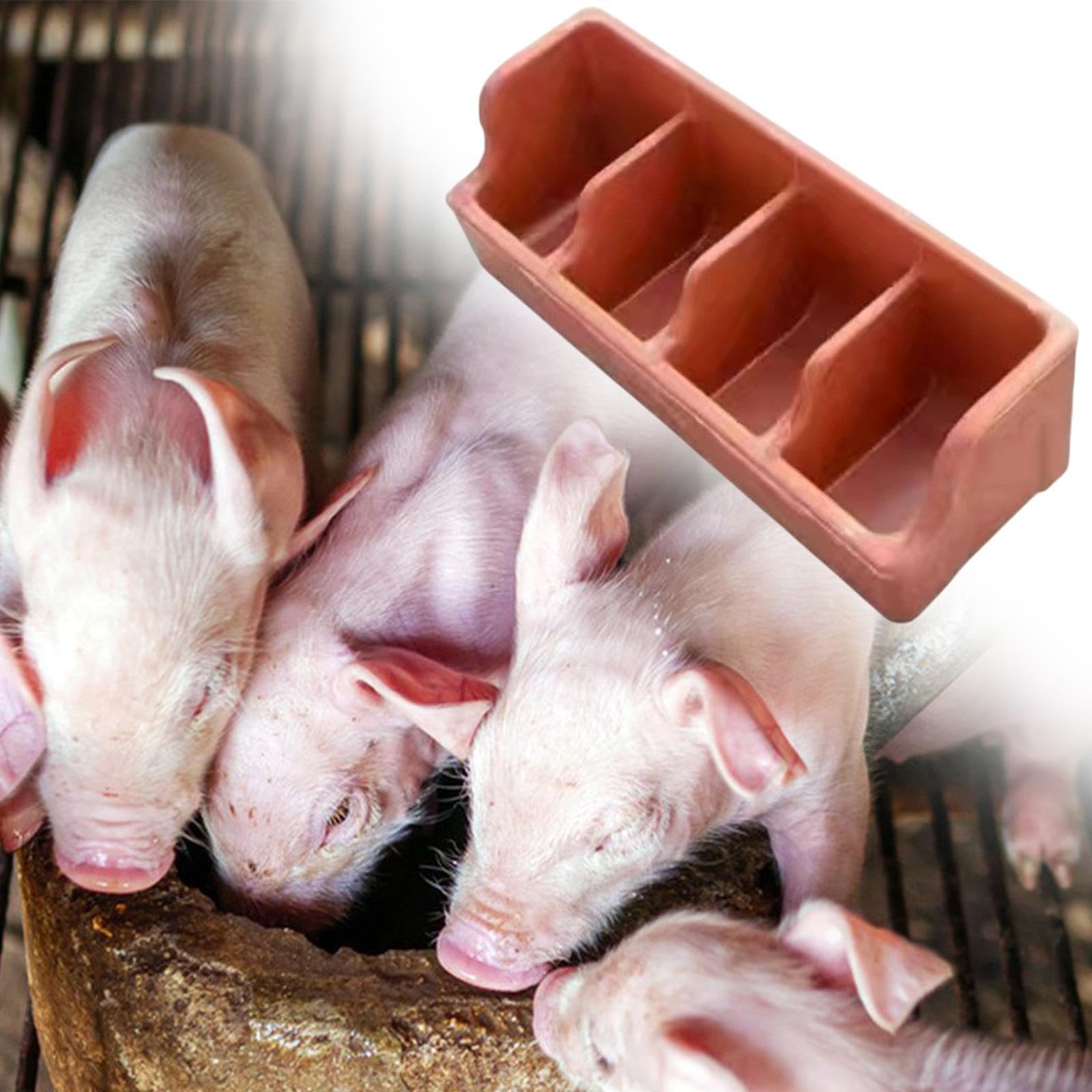 mangiatoia di maiale, mangiatoia, mangiatoia con 4 scomparti, alimentazione di bestiame, animali domestici, forniture agricole, abbeveratoio per piccoli animali, presepe di maiale