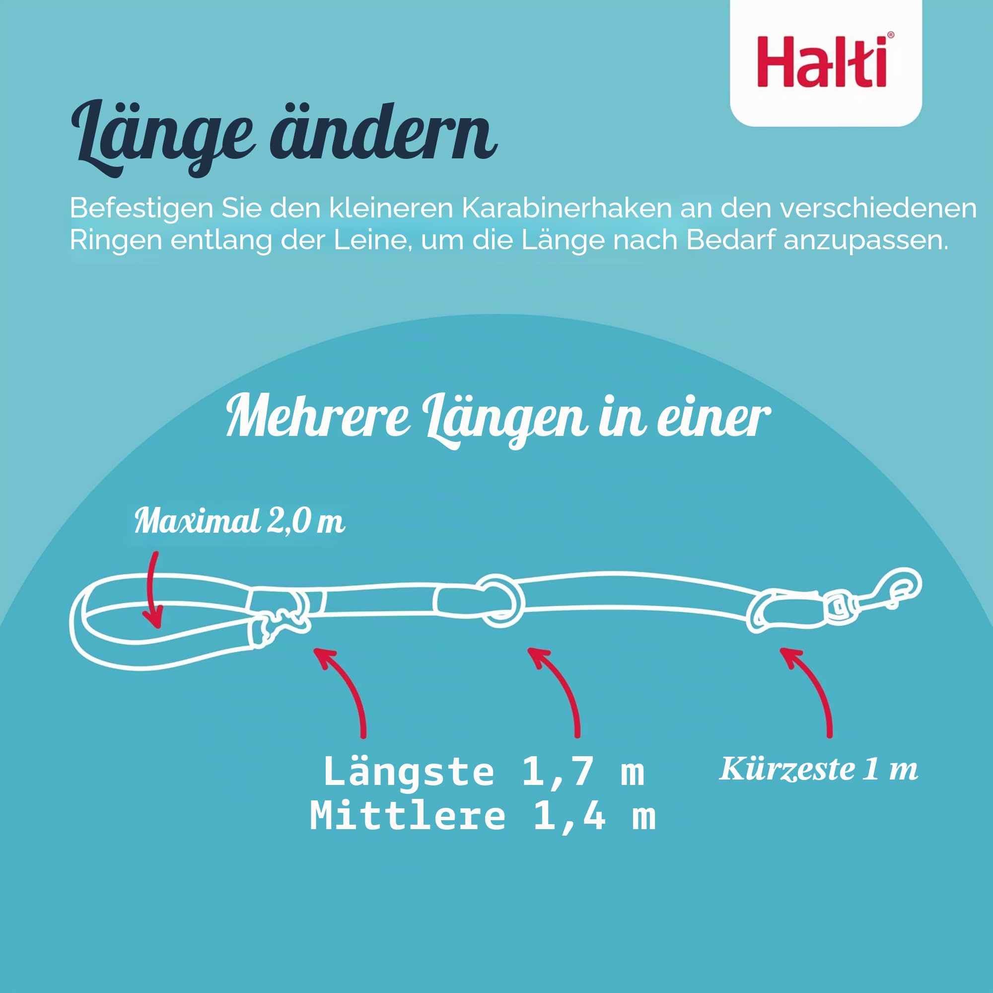 HALTI Doppelführleine - Multifunktionale Hundeleine zum Trainieren und Gassigehen mit Ihrem Hund. Leicht und mit Neopren gepolsterte. Für Welpen geeignet (Größe Groß, Waldgrün, 2m)