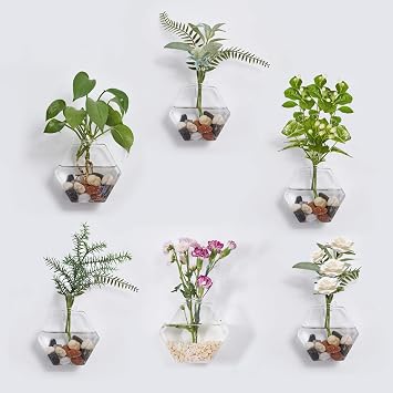 Glass Wall Planters 6PcsTerrarium Hanging Air Plant Holders Containers for Hydroponics Plants, Succulents, Herbs, Flowers Hexagon