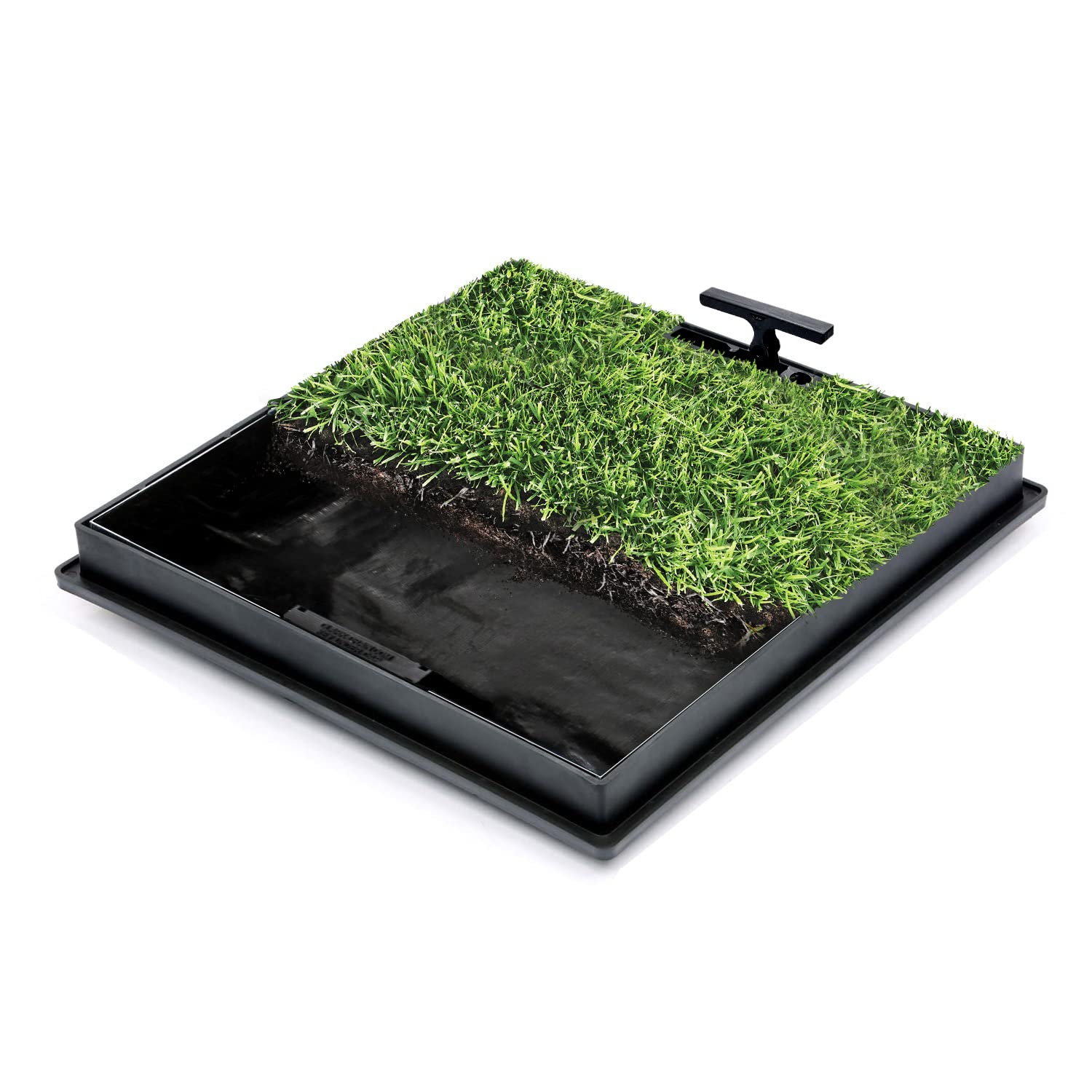 Buy EcoGrid Grass Top Recessed Drain Cover Recessed Manhole Covers