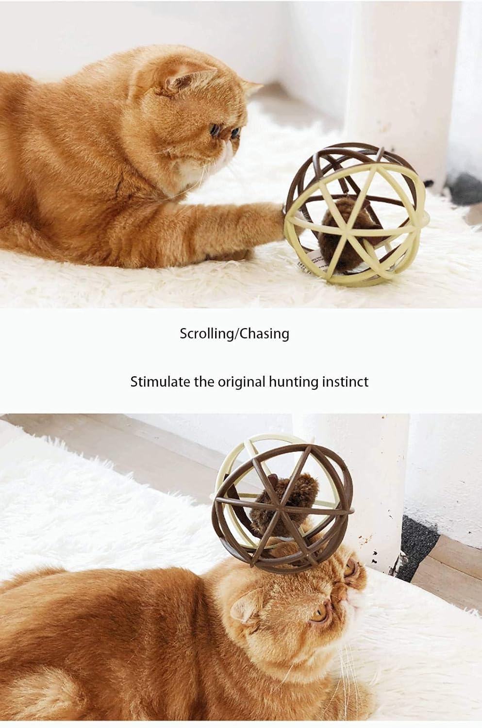 ALBOLET Cat Toy Ball，Cat Mouse Ball Cage Cat Mouse Toy Cat Interactive Toy Squeak Mouse cat Toy,Cat Mouse Ball Toy : Pet Supplies