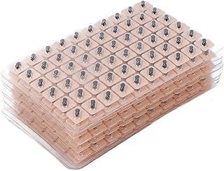 600 Counts Ear Seeds Acupuncture Kit Disposable Acupuncture Acupoint Massage Ear Press Seeds Ear Post Auricular Application Massage The Human Body