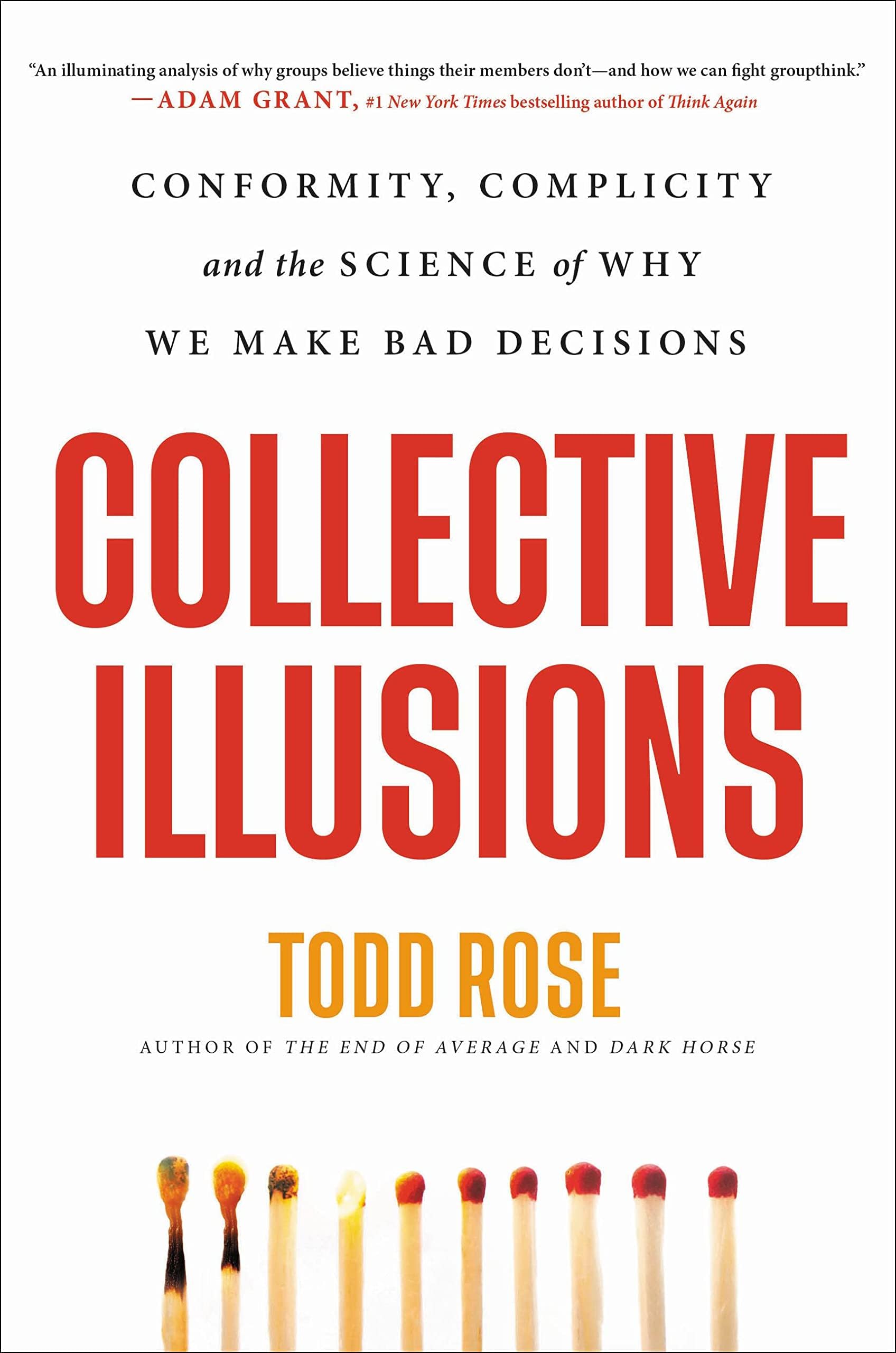 Hachette Go Collective Illusions: Conformity, Complicity, and the Science of Why We Make Bad Decisions