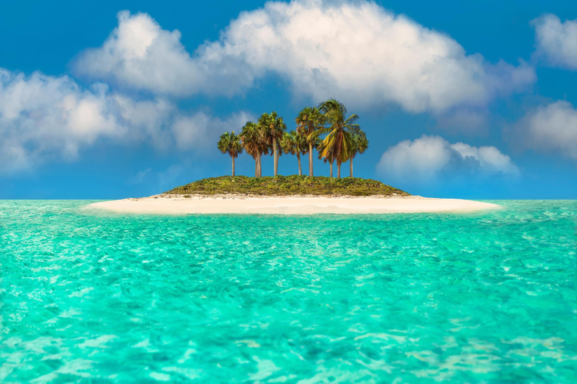 Jigsaw Puzzles For Adults 1000 Piece Tropical Wall Art Caribbean Paradise Turquoise Waters Island Photo Photograph Beach Pictures Family Funny Challenging Holiday Puzzles Gift