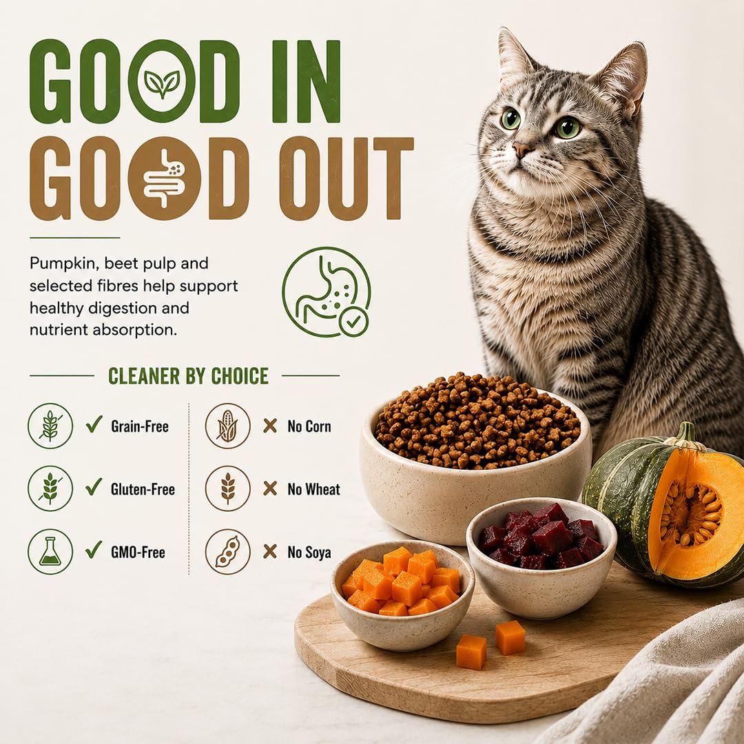 Grain Zero Adult Dry Cat Food 1.2kg + 75g Creamy Treat (Free) | Chicken & Vegetables | 48% Fresh Fish Inclusion, No Grain Formula, Gluten-Free | Promotes Healthy Skin & Coat | All Breeds 2