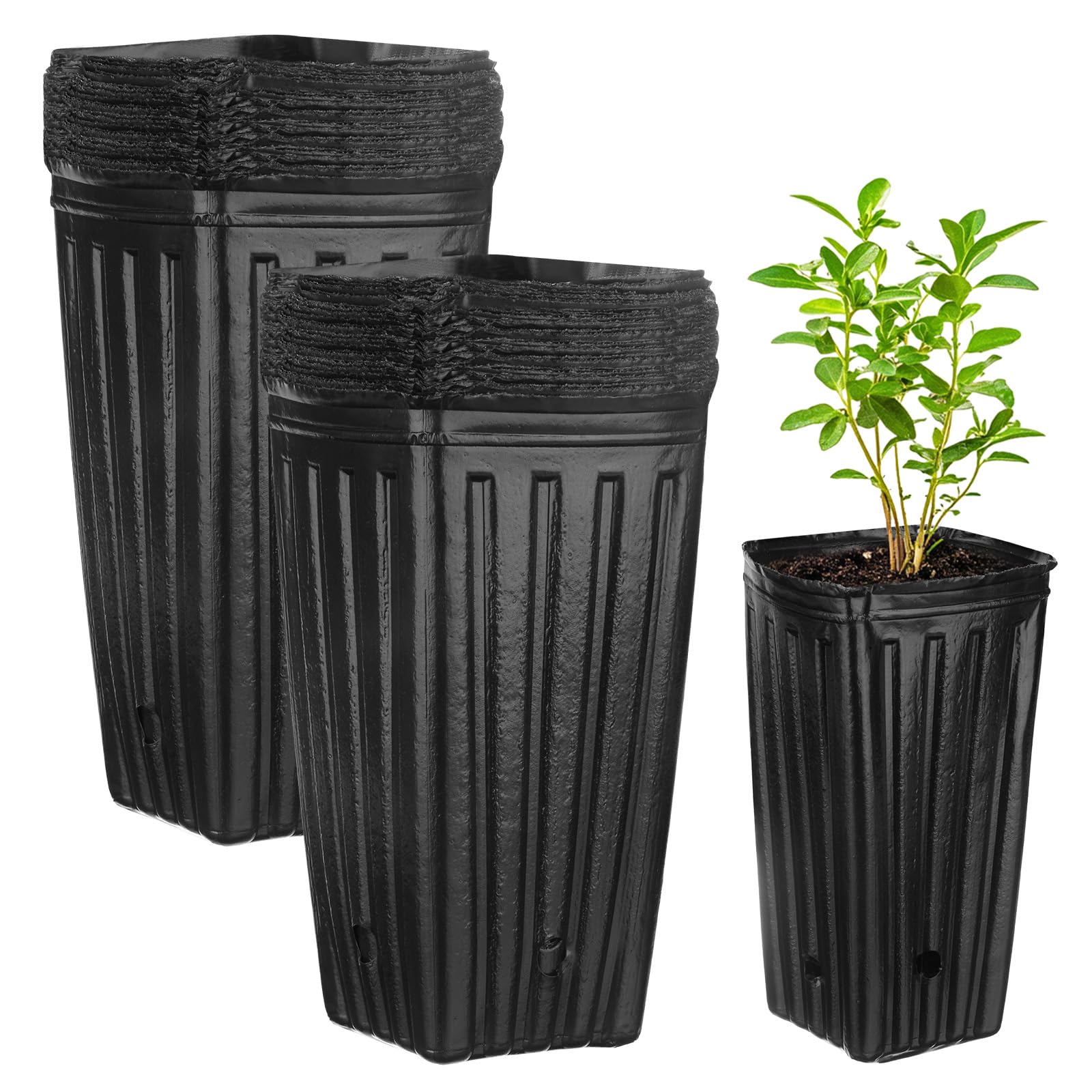 M METERXITY 100-Pack Plant Nursery Pots