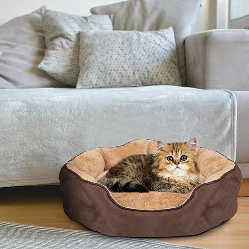 Miniatura 2 de Cama para perros pequeños de 20 x 19 x 6 pulgadas, cama ovalada lavable para interiores con parte inferior antideslizante y cojín extraíble, cama