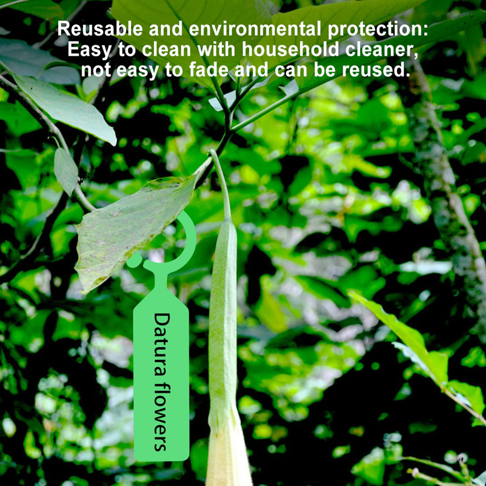 Lot De 200 étiquettes De Plantes En Plastique Blanc - Dimensions 21x2 Cm - Réglables Pour Branches - Pour Jardin, Pots, Arbres Fruitiers