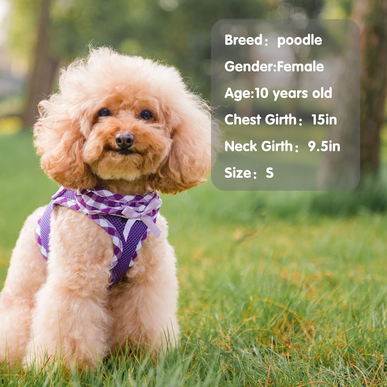 PUPTECK Step-in No Pull Dog Harness For Puppies & Small Dogs - Soft Mesh Vest, Purple, XS (Easy Wear, Safe Design)
