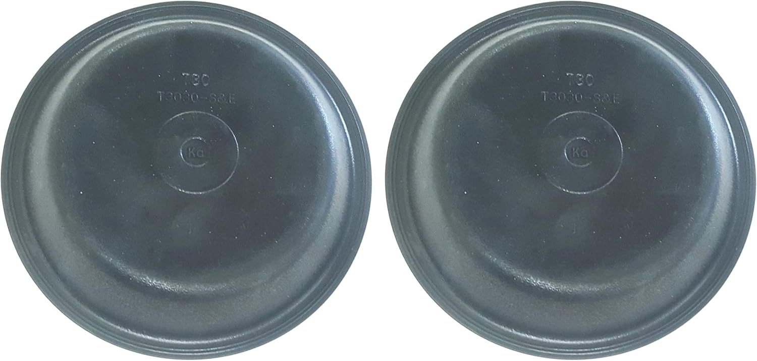 Torque 2 Pack of Type 30/30 Piggyback Air Brake Chamber 2.5" Stroke Type 3030 for semi Truck Trailer (Replaces Haldex GP3030 MA15435 MA15444) (2 x TR3030PBK)