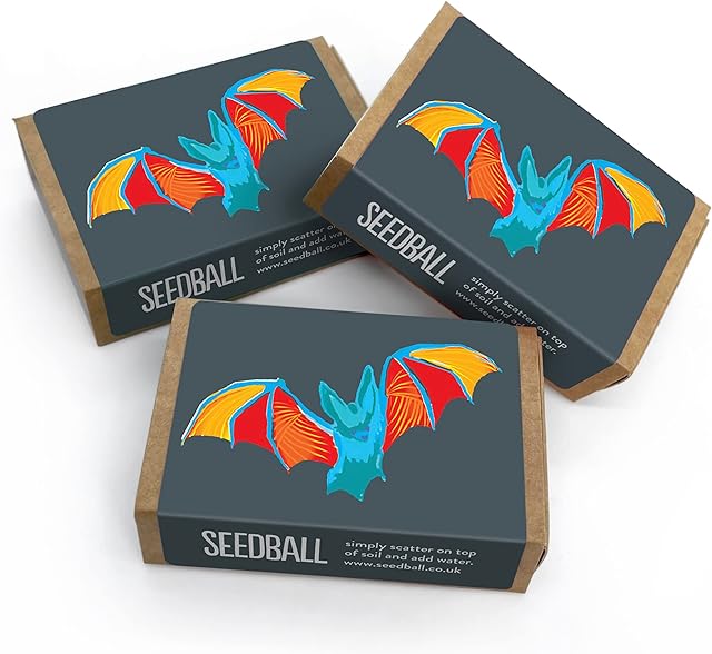 Bat Mix Wildflower Seeds by SEEDBALL (Pack of 3) | Wildflower Mix for Attracting Bats to Your Garden | Presents for Bat Lovers & Gardening Gifts for Men & Women | Easy to Grow Wildflower Seed Bombs