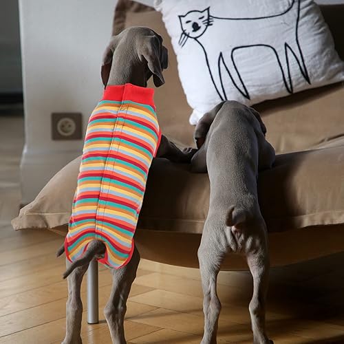 Miniatura 112 de SAWMONG Traje de recuperación para perros, traje de recuperación para perros después de la cirugía, traje quirúrgico de esterilización para perros