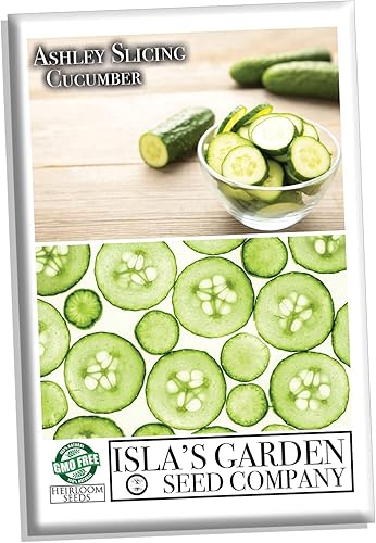 Miniatura 6 de Ashley - Semillas de pepino para siembra, más de 50 semillas de reliquia por paquete, semillas de jardín de Isla (semillas de jardín de Isla),