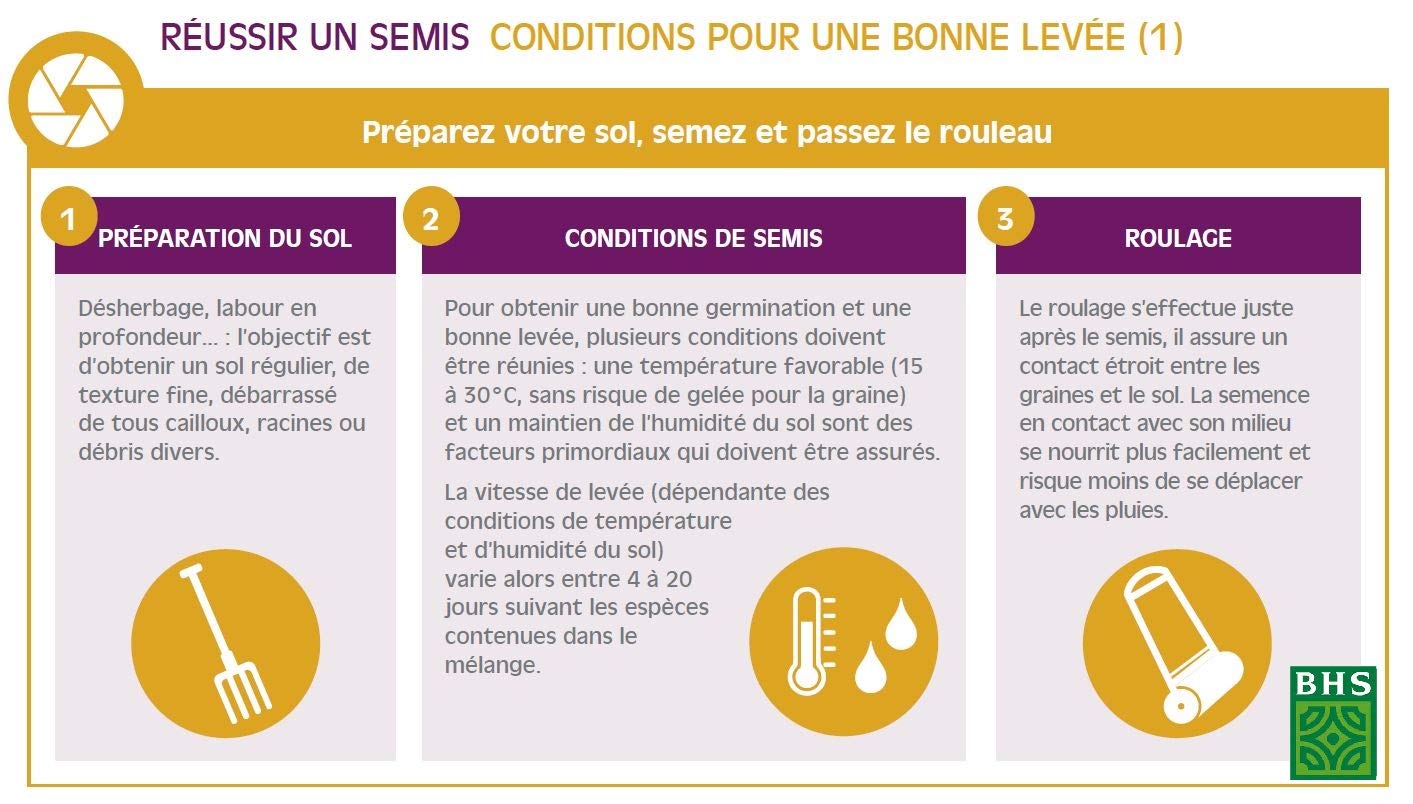 BHS Gazon Soleil - 3kg - 120 m² - Espaces Fortement Exposés au Soleil Ou Aux Zones De Climat Méditerranéen - Mélange Equilibré Alliant Esthétique Et Résistance A La Sécheresse GSO3