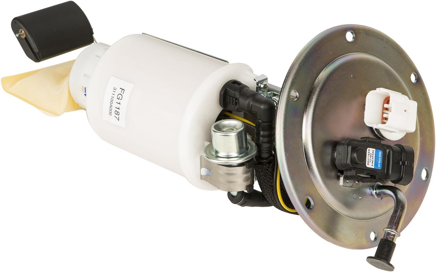 Delphi FG1187 Fuel Module