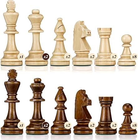 Amazon.com: The House of Staunton The Reykjavik Plastic Chess Set