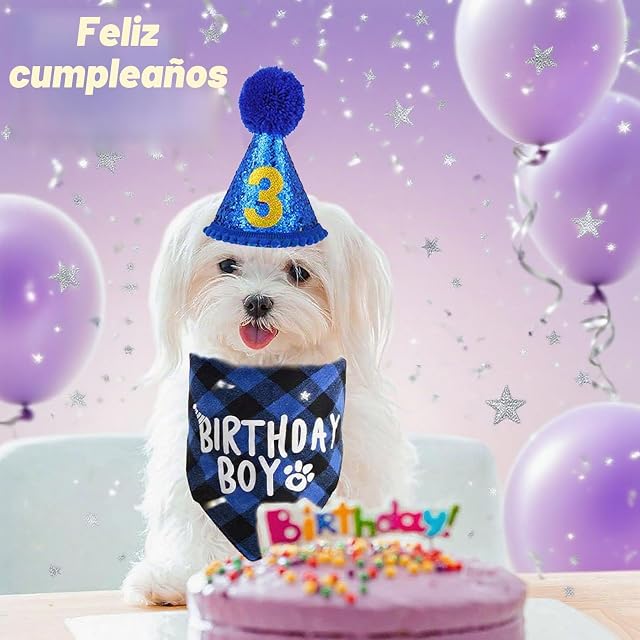 Foto 6 de 7 de 3 Piezas Juego de Sombrero de Cumpleaños para Perro, Bandana de Cumpleaños para Perro con 9 Números