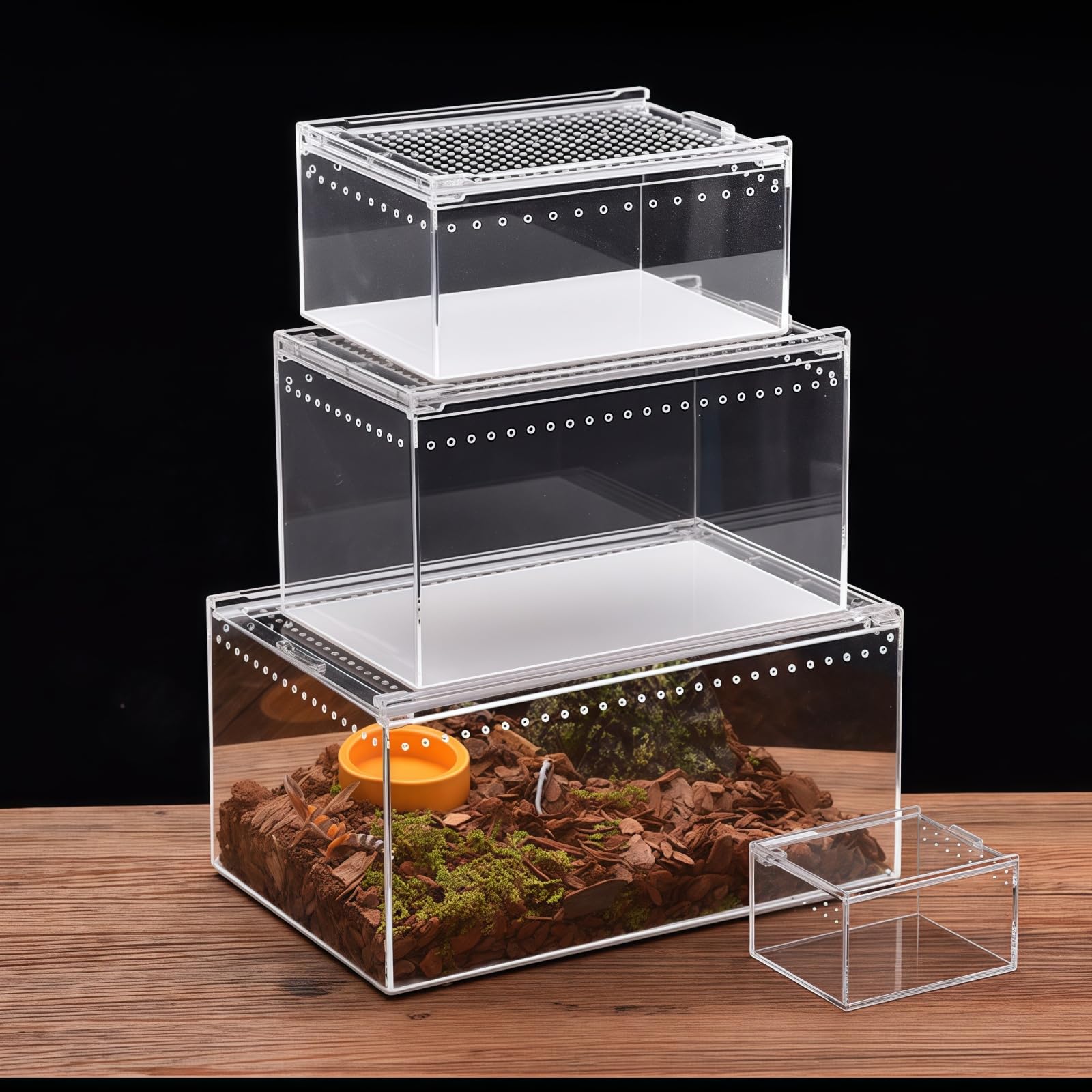 Amazon | Zifizo レプタイルボックス 爬虫類 飼育ケース 虫かご 大