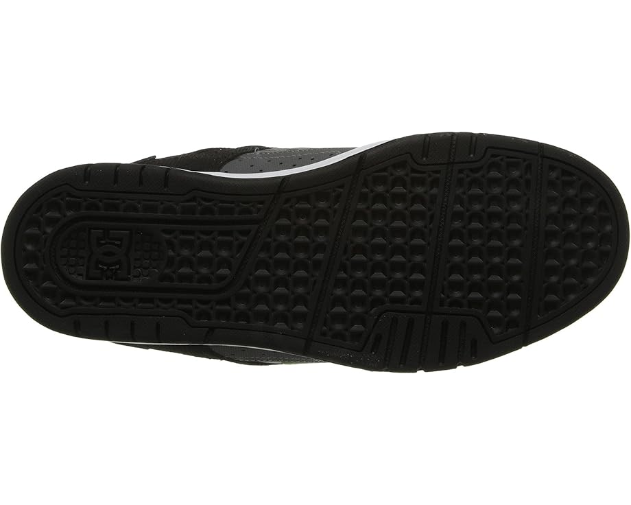 DC Stag - Bottom View