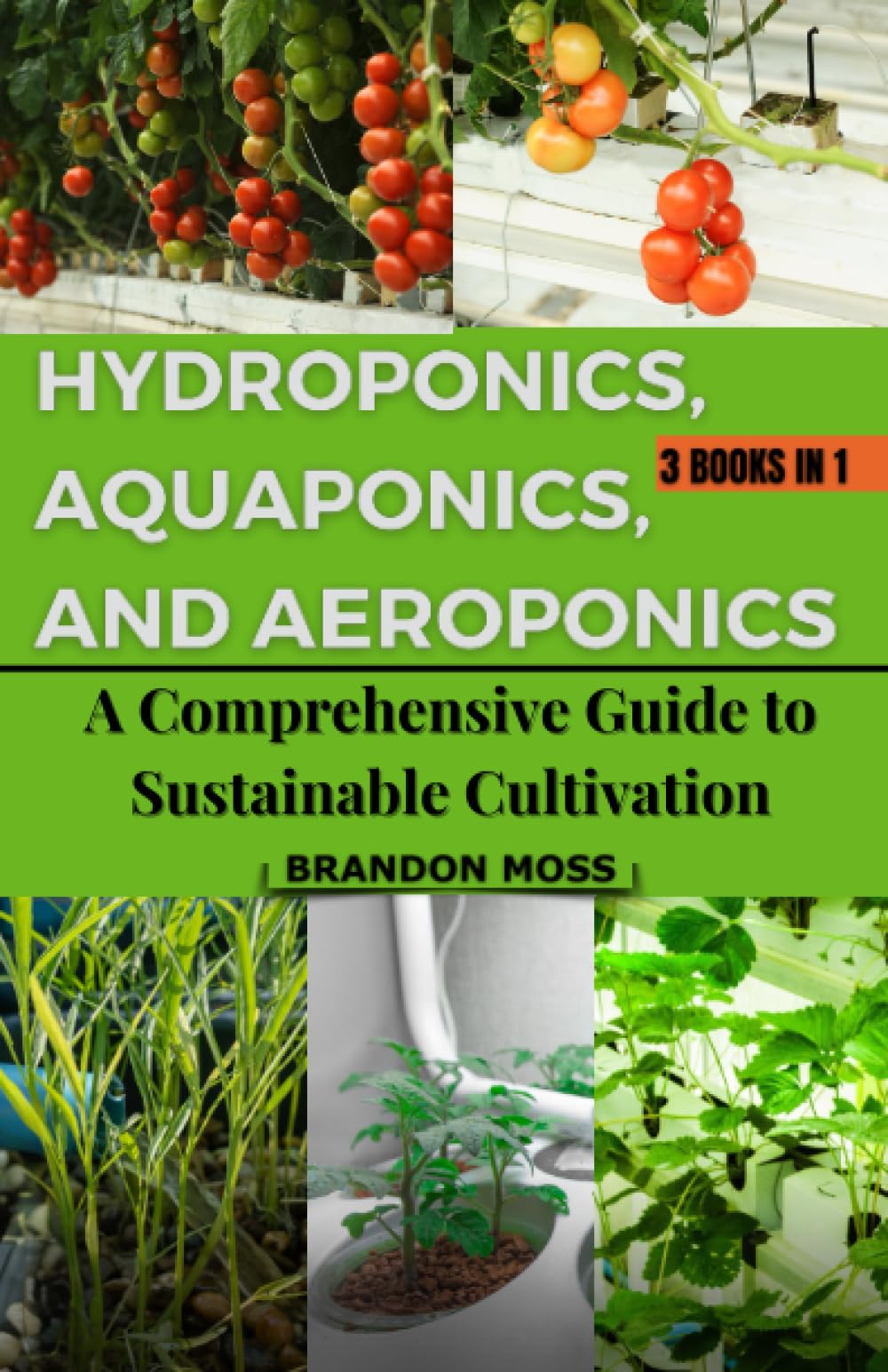 Hydroponics, Aquaponics, and Aeroponics: A Comprehensive Guide to Sustainable Cultivation