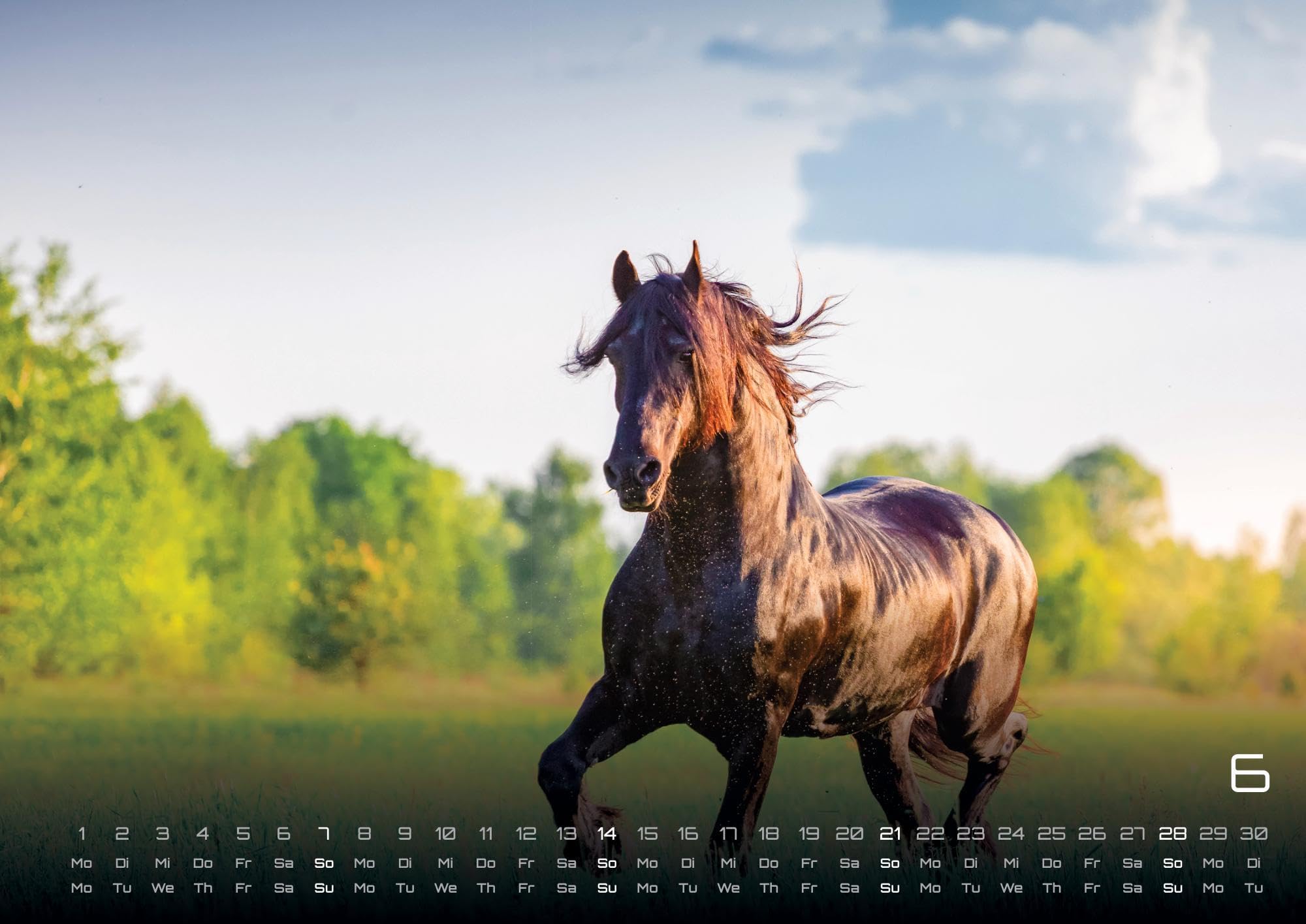 Pferdegeflüster - Der Pferdekalender - 2026 - Kalender DIN A2: Der Wandkalender mit den schönsten Pferde-Motiven für das Jahr 2026 im extragroßen Format DIN A2 (ca. 60 x 42 cm)!