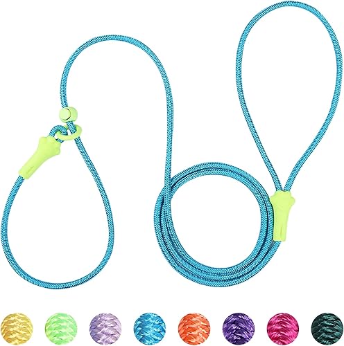 Correa antideslizante para perros pequeños, correa de entrenamiento de perros ligera de 6 pies, correa antideslizante para perros, correa para