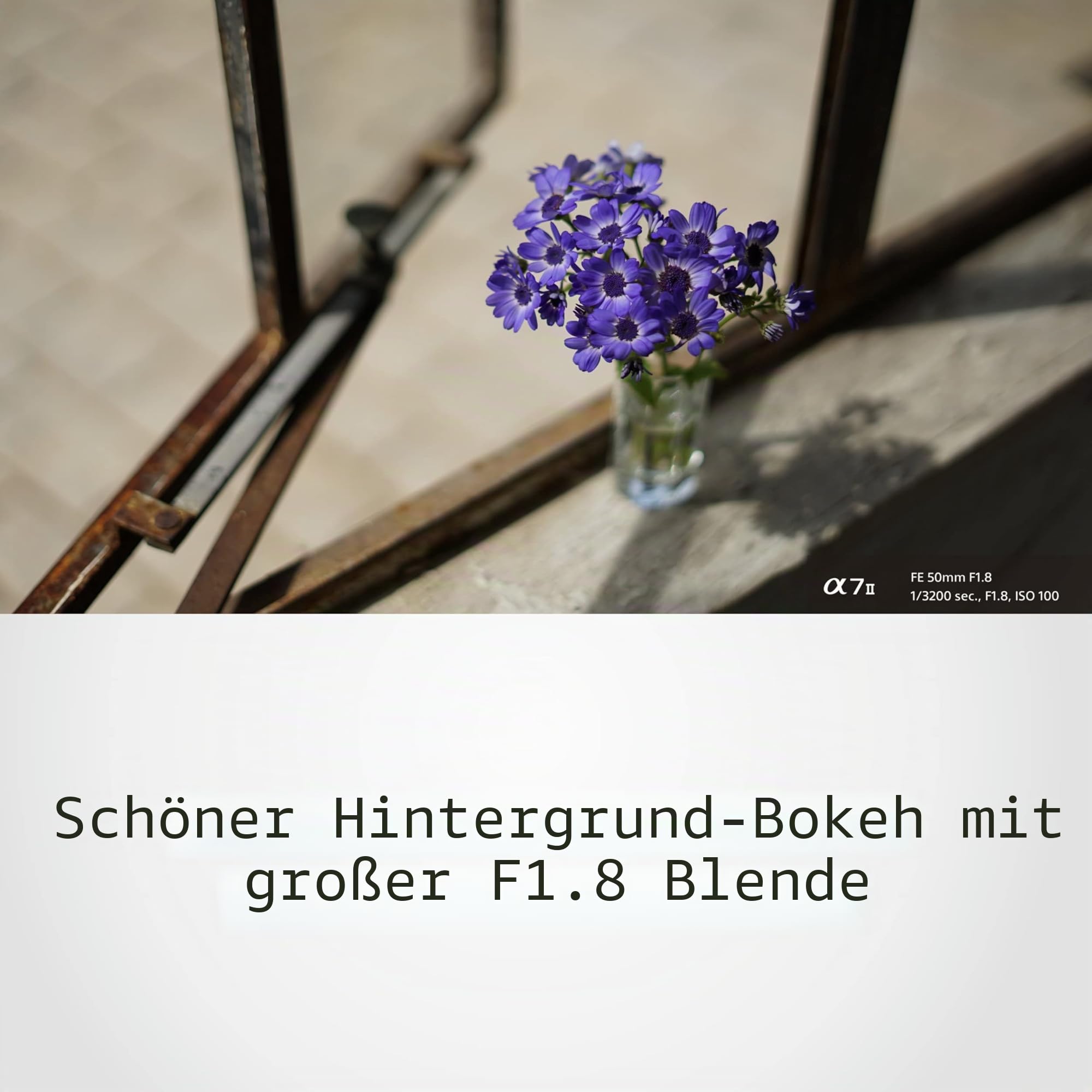 Sony SEL-50F18F 50mm f/1.8 Festbrennweite für Sony E-Mount (APS-C und Vollformat, lichtstark, leiser Autofokus, ideal für Porträts, kompatibel mit Sony A7-Serie & ZV-E1, A6000-Serie & ZV-E10)