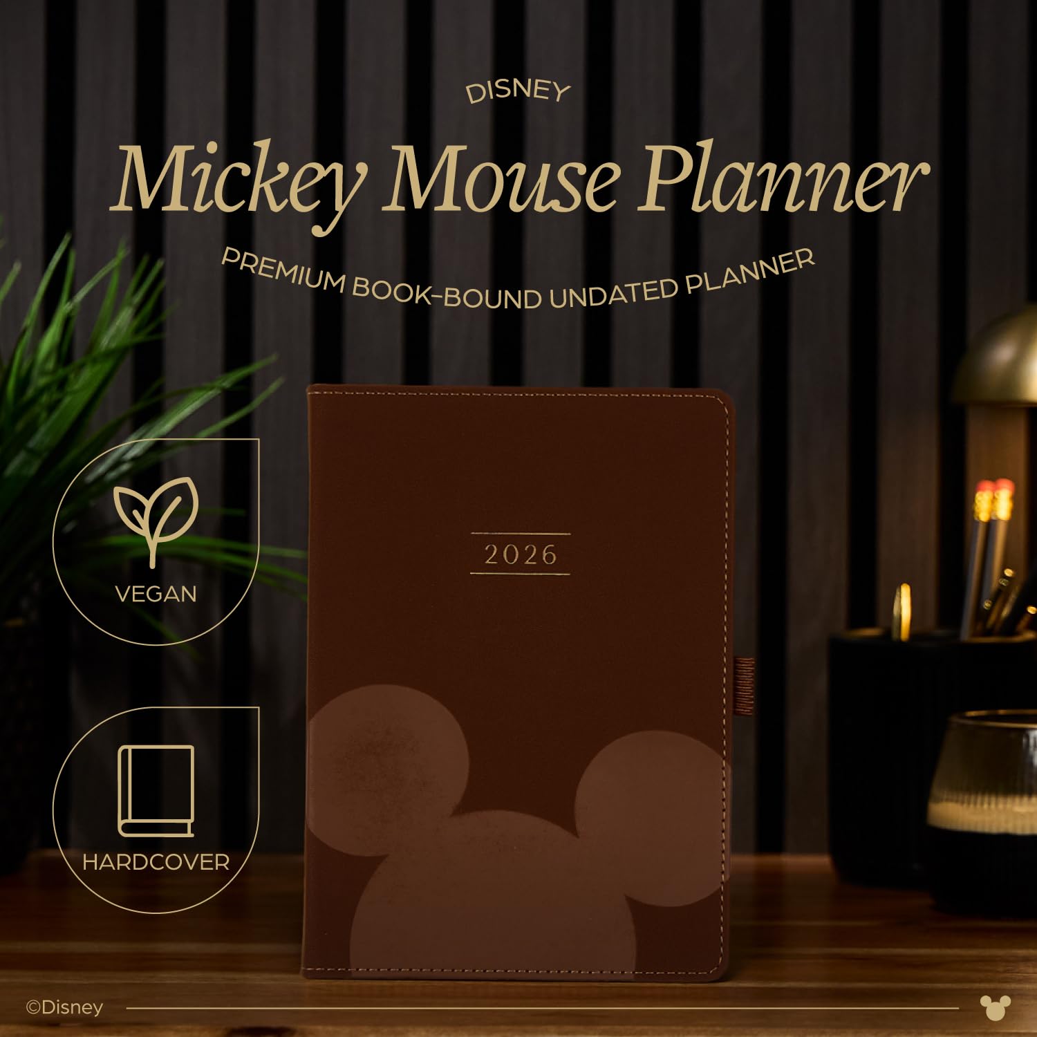 Happy Planner, agenda 12 mesi non datata, motivo: Topolino, formato piccolo, 15,2 x 21,6 cm, layout giornaliero, in pelle vegana goffrata
