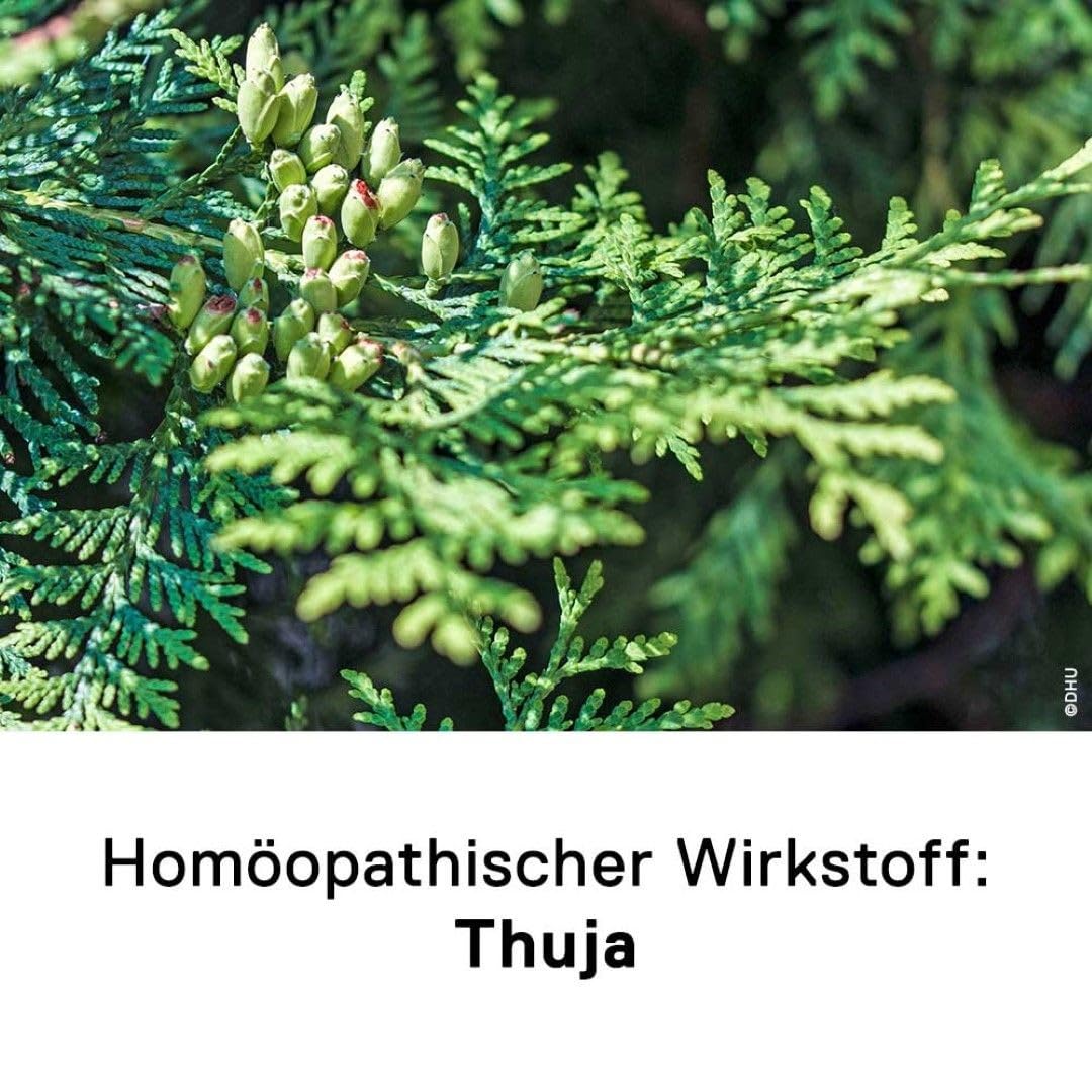 DHU Thuja Extern Lsung