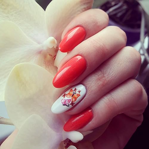 Miniatura 5 de DIDIER LAB - Studios Gel Polish Constellation - Productos profesionales de manicura y pedicura - Pigmento rico para una cobertura completa de las