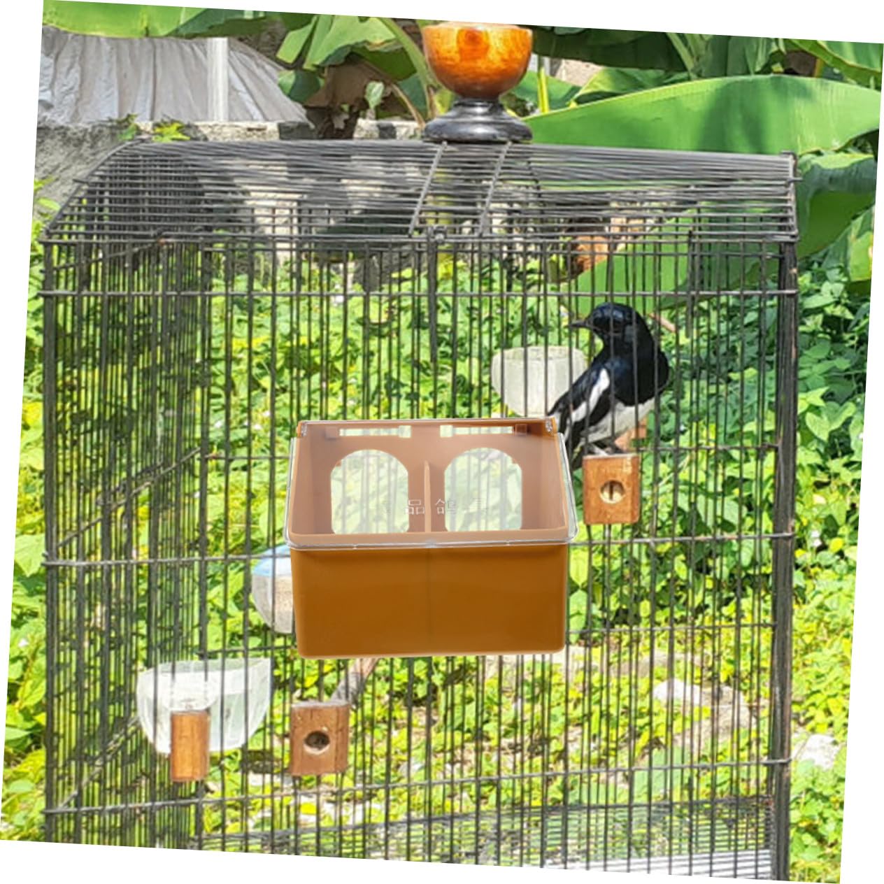 BESPORTBLE 3 pièces Mangeoire Suspendue pour Petits Oiseaux Distributeur Multi-Compartiments Plastique pour Cage Capacité pour Perroquets et Tourterelles