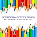 PATIKIL 4B Drawing Pencils for Sketching, 24PCS Sketch Pencils for Drawing Sketching Artist, Hexagonal, Black Refill, Green/Black Pole