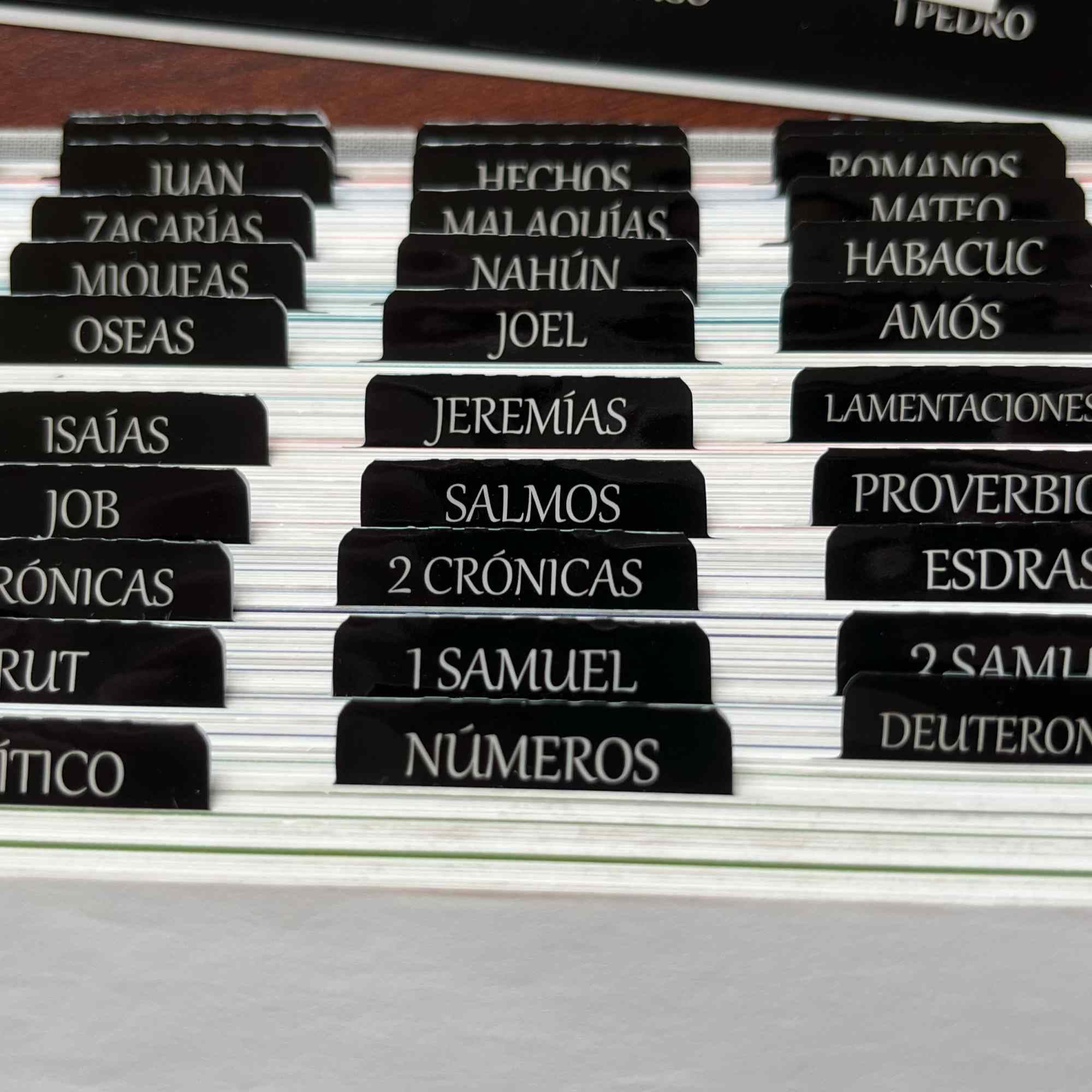 Pestañas De La Biblia De Lámina Dorada Para Hombres Y Mujeres, 100 Pestañas Católicas De La Biblia Para El Antiguo Y Nuevo Testamento, Fáciles De Leer Y Aplicar