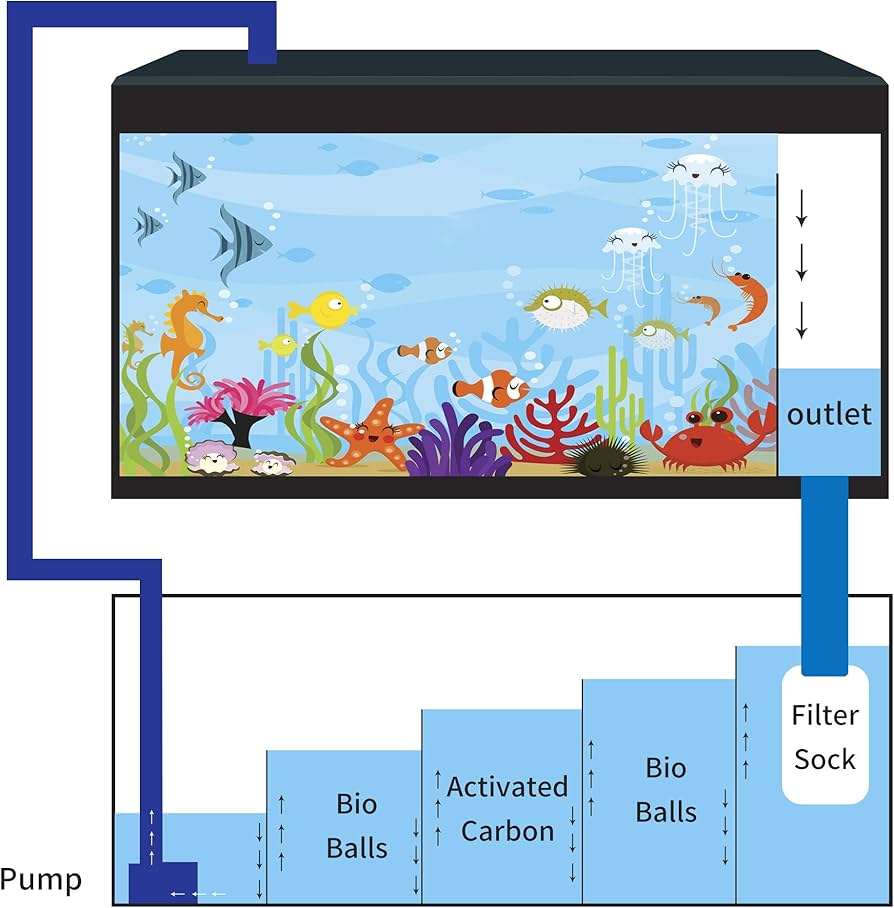 Schematic Diagram Of An Aquarium With External Sump Vector , 45 OFF