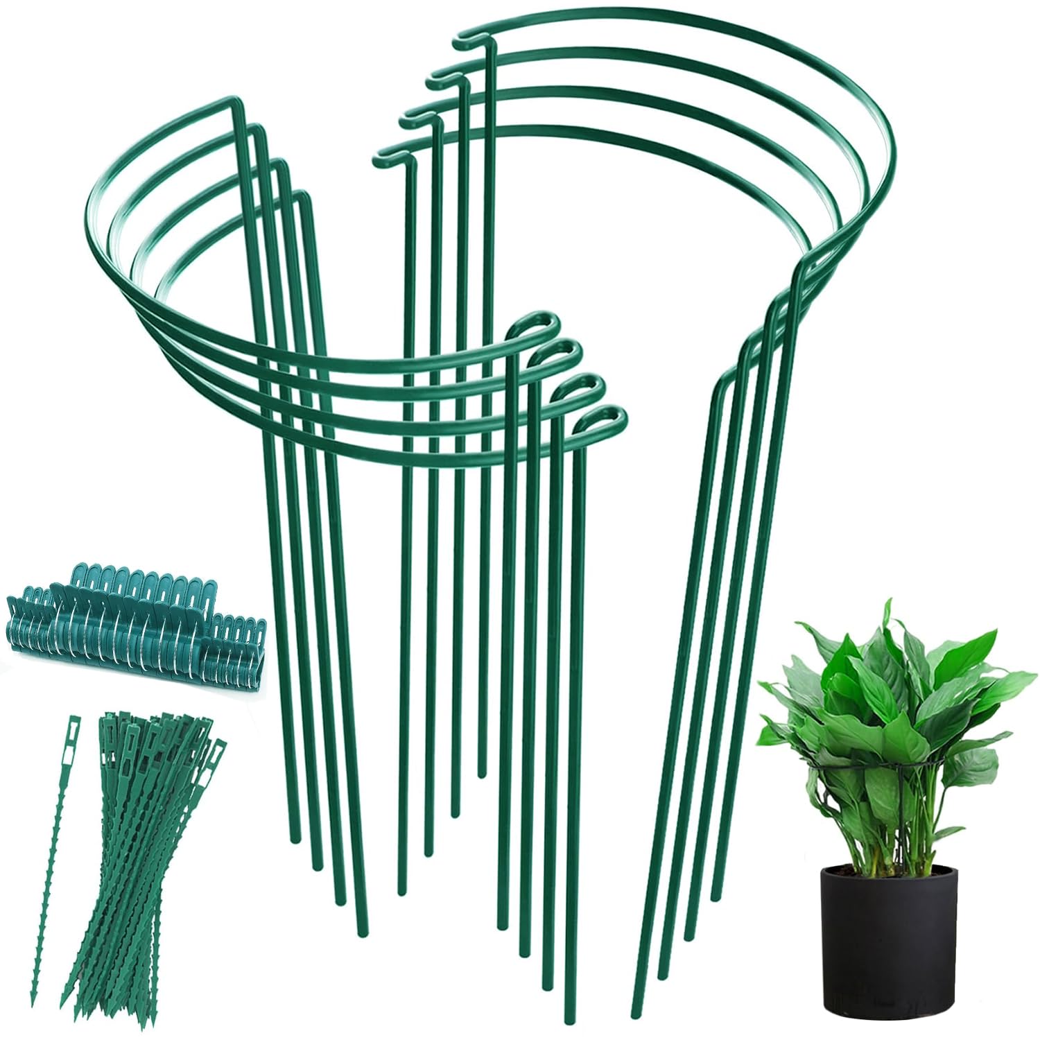 Application Stake Casino