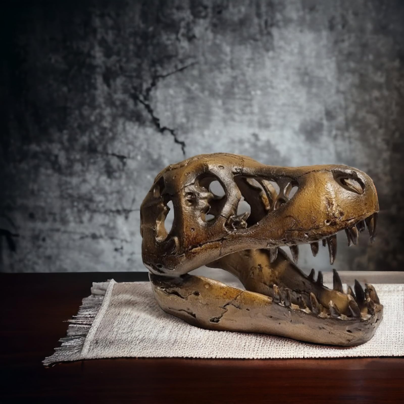 T-REX Cráneo de Polyresin - 20cm