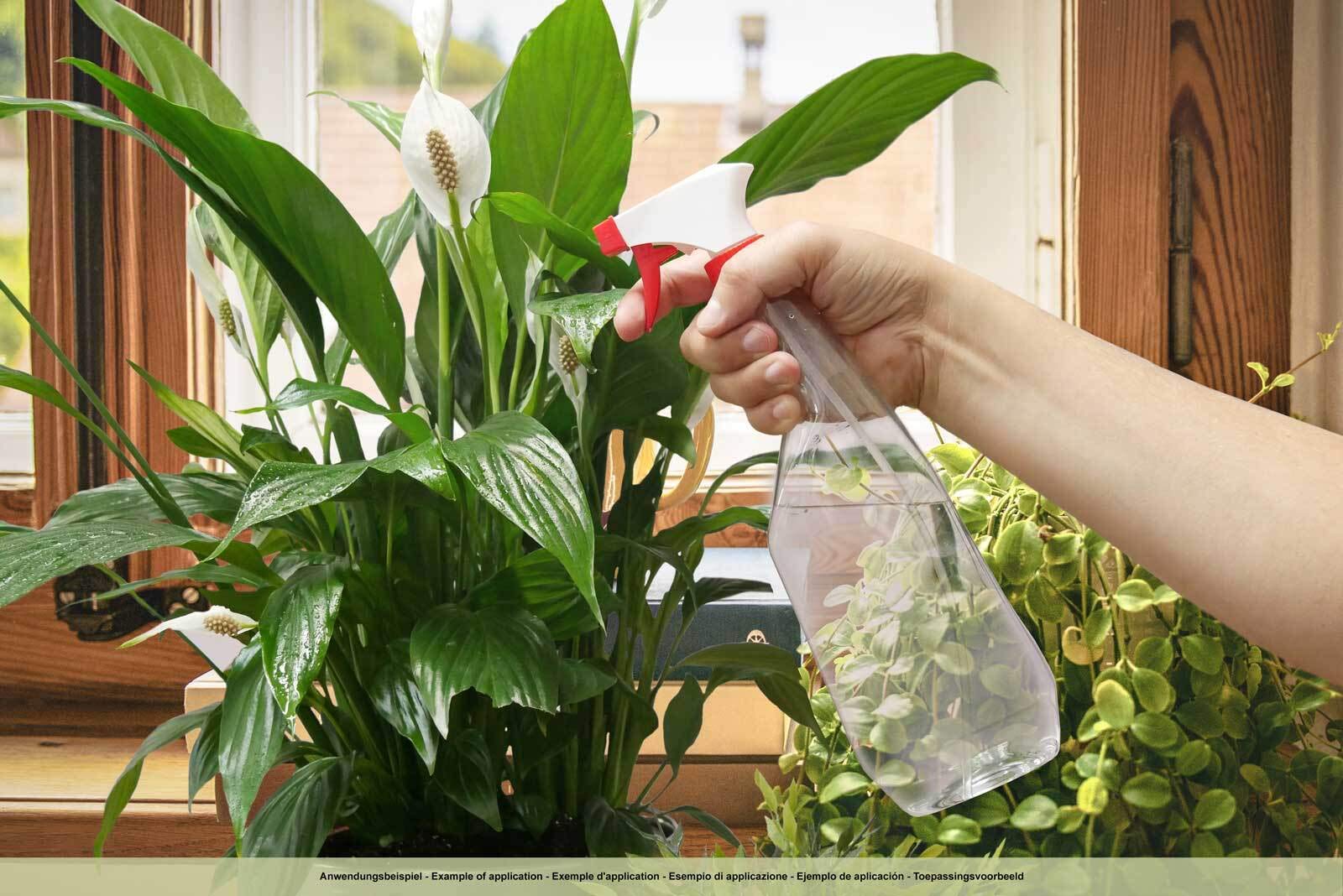 5 botellas pulverizadoras de 750 ml de PET con pistola pulverizadora, atomizadores vacíos con boquilla pulverizadora ajustable (chorro / pulverización), p.ej. para plantas / flores, limpieza, taller