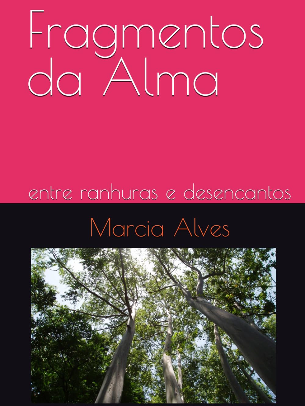 Fragmentos da Alma: entre ranhuras e desencantos