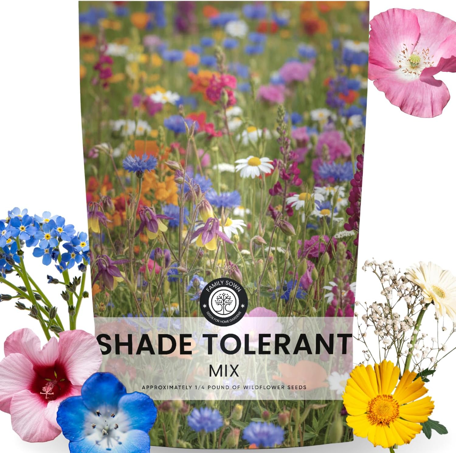 Shade Tolerant Mix – 56,000 Wildflower Seeds for Pollinator Gardens – 2026 Season – 4 Ounce Pouch