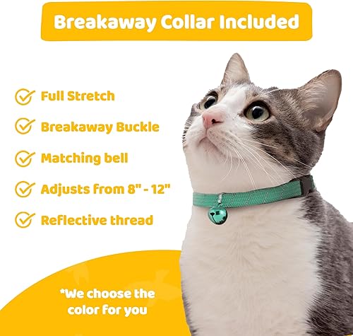 Miniatura 5 de Birdsbesafe® Funda para collar de gato para pájaros, collar de gato con advertencia de pájaros, científicamente probado para ayudar a evitar que tu
