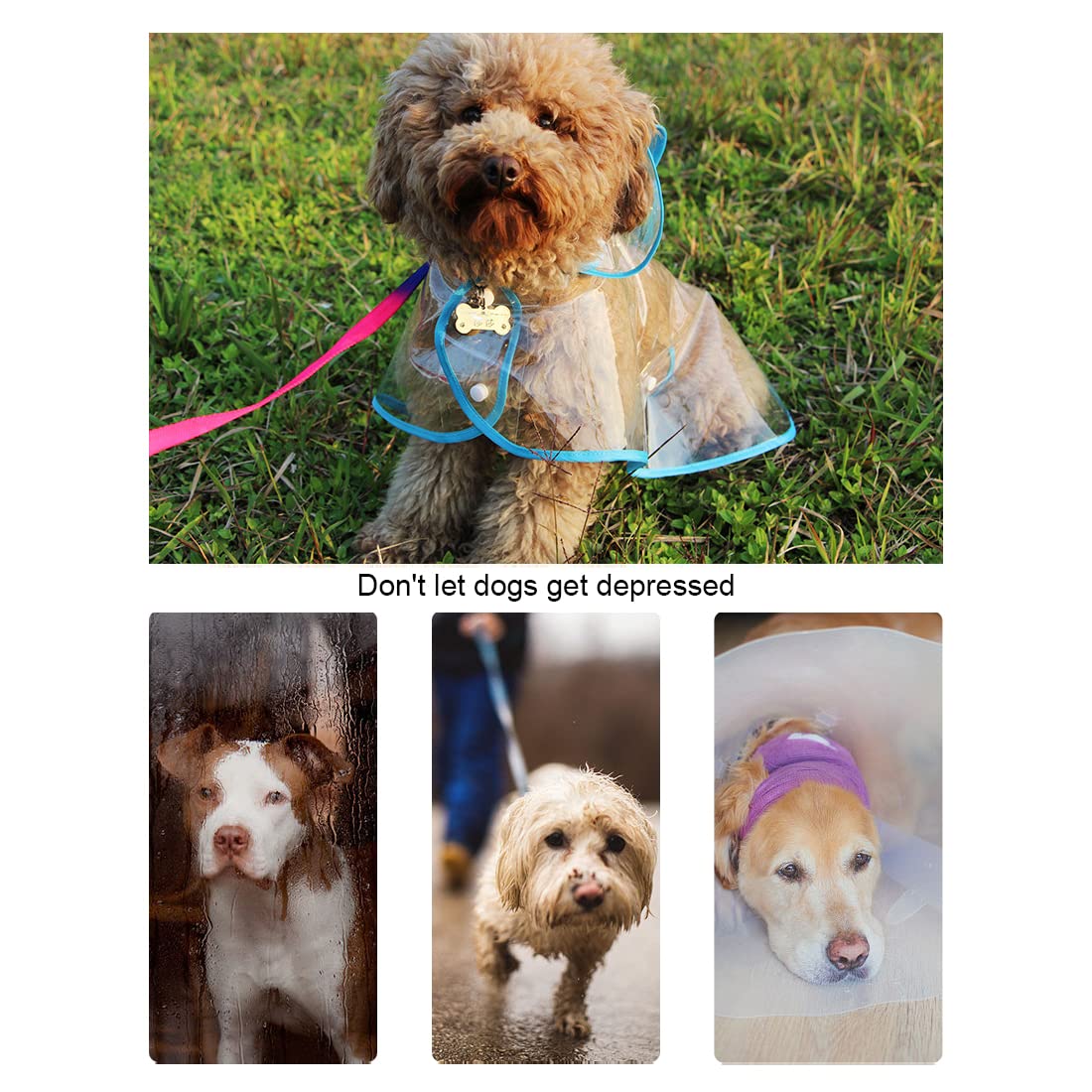 Imperméable pour Chien - Manteau Anti-Pluie Poncho pour Chiens avec Capuche en Nylon Transparent, Réglable et facile à porter, Imperméable et résistant au vent pour Chiens de Petite et Moyenne (XL)