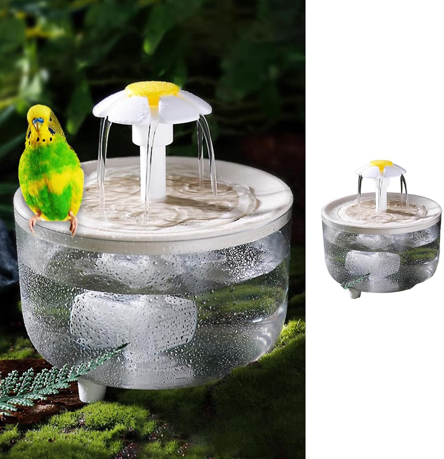 Amazon.com: Bird Bath for Indoor Parrots - Circulating Filter Fountain ...