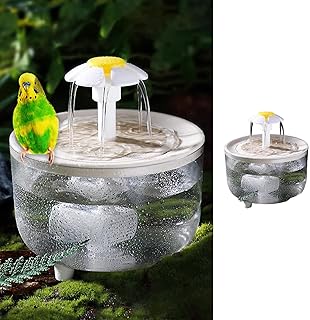 Bird Bath Indoor Parrots Circulating