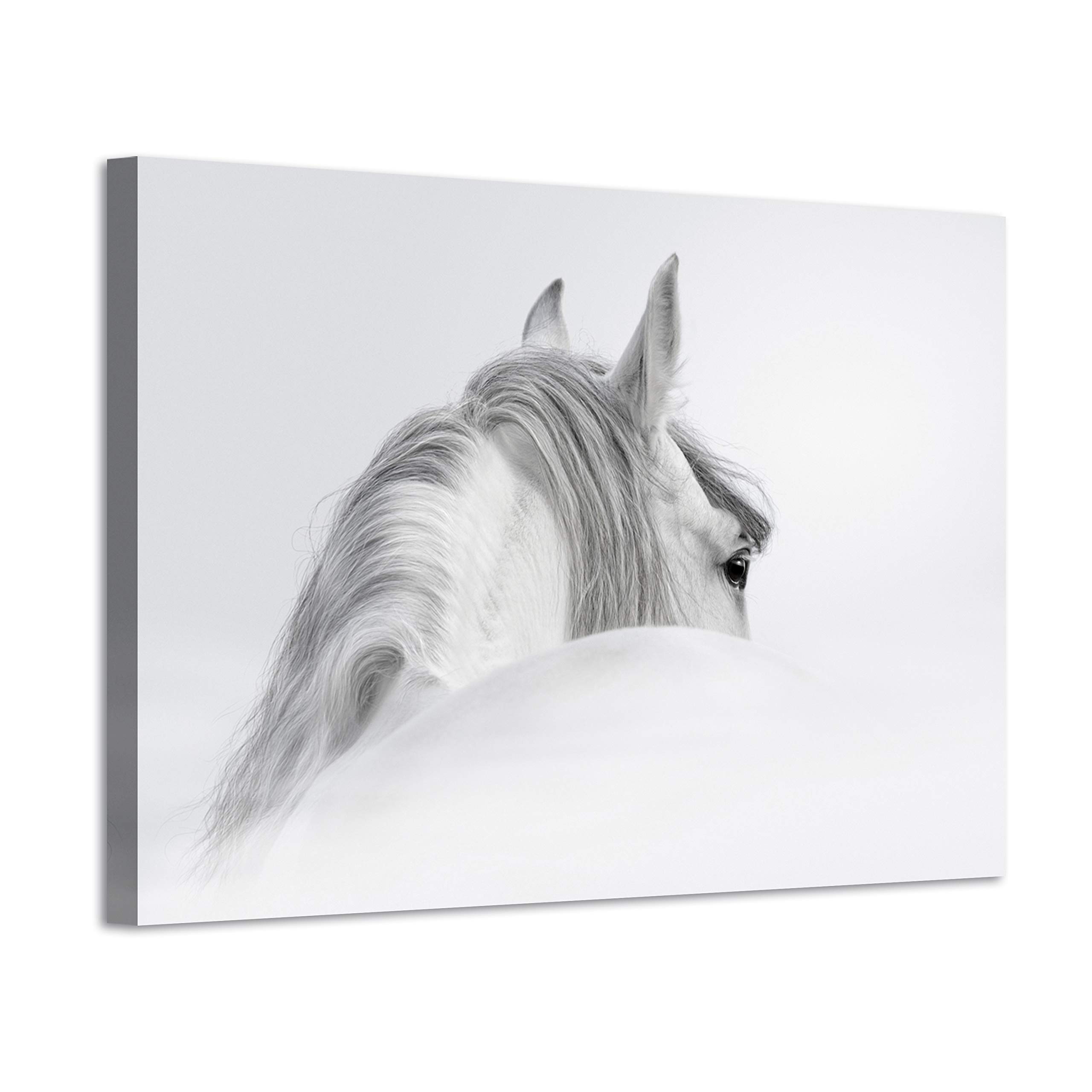 ARTISTIC PATH White Horse Canvas Wall Art: Animal Picture White Mystical Horse Printed Artwork for Home Decor ( 36â€_x009d_W x 24â€_x009d_H,Multi-Sized )