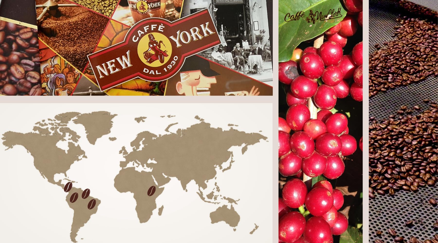 Caffè New York - EXTRA - Granos de café - 1000g
