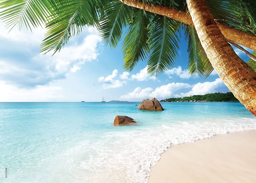 リゾート感×高級感と天然素材の貝殻シェードで虹色に美しく輝くテーブルランプ リゾート感×高級感と天然素材の貝殻シェードで虹色に美しく