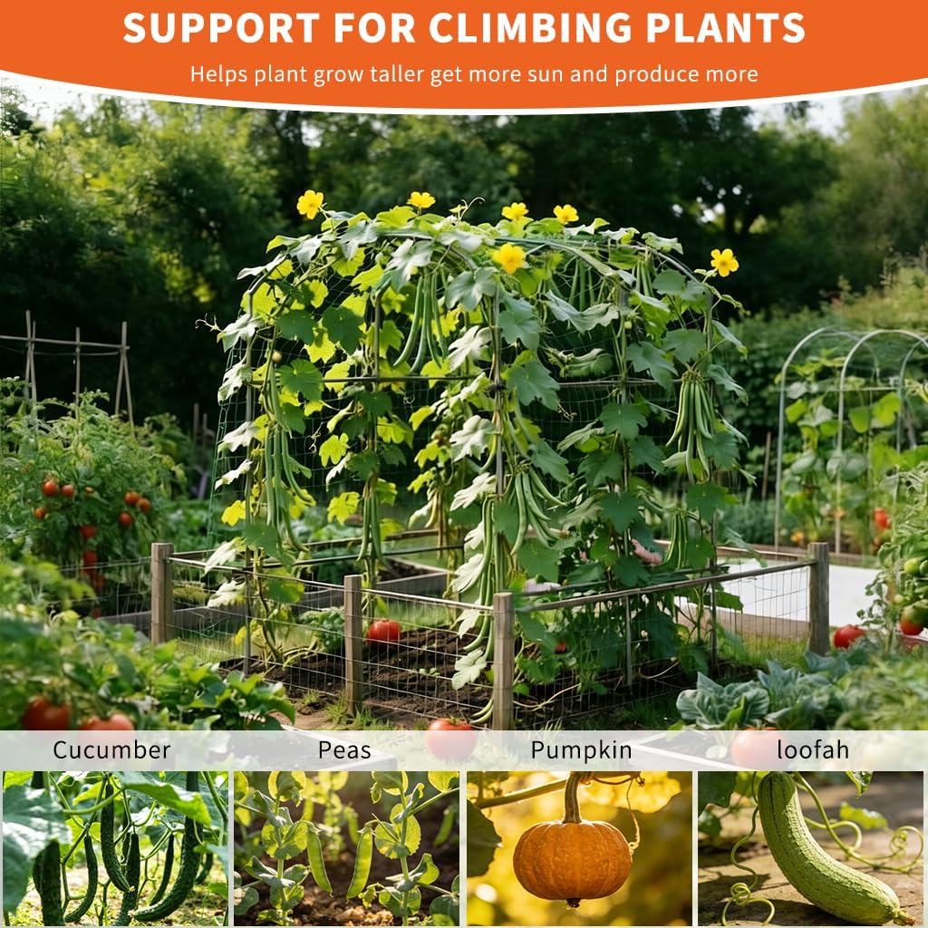 Garden Arch Trellis, Metal Wedding Arch Frame Climbing Plant Support Archway for Rose Vine, Outdoor Patio Yard Lawn Backyard Decoration (75.2''L*71.2''W*87.0''H)