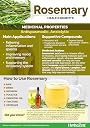 Go Vegan Rosemary Leaves for Hair Growth and Seasoning, 100g | Food Grade With Mist Spray and Comb Cap for Rosemary Water, Zipper Pouch 100gm gallery image