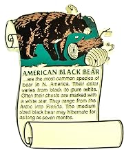 American Black Bear History Fridge Magnet